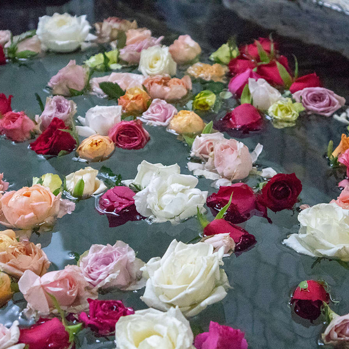 150,000円クーポン券（プチホテル　晩餐館）