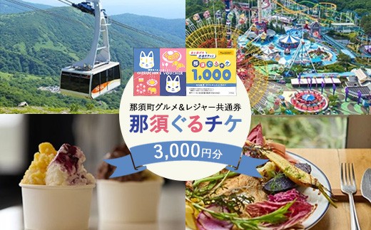 3,000円 分那須ぐるチケ引換券（那須観光協会）